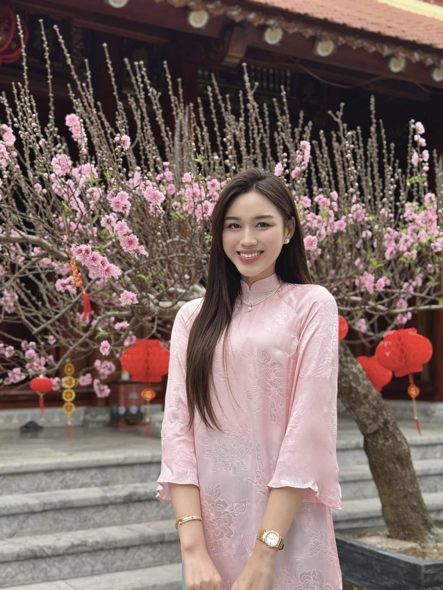 Hoa hậu Đỗ Hà vướng chỉ trích- Ảnh 4.